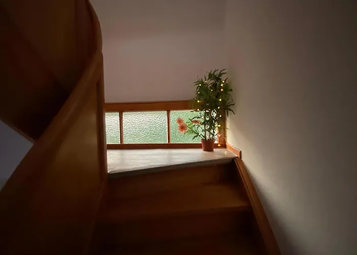 Haus Sunshine - Sunshine 1 Apartman Hessisch Oldendorf